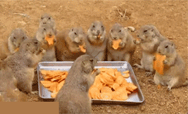 2013011214235352362.gif