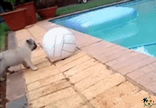20121216232157296.gif