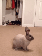 20121216232256157.gif