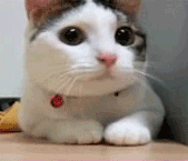 δ.gif