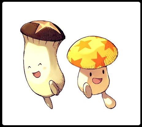 ǩƬ.jpg