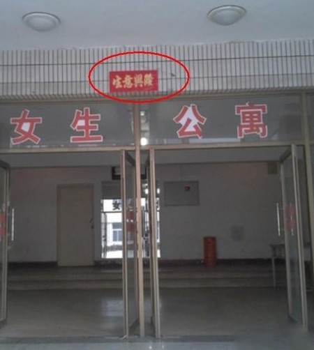 shengyi.jpg