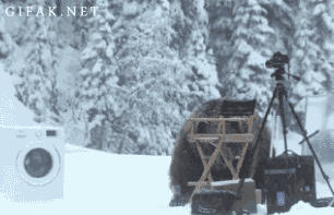 jieju.gif