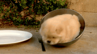 kuaidaowanlilai.gif