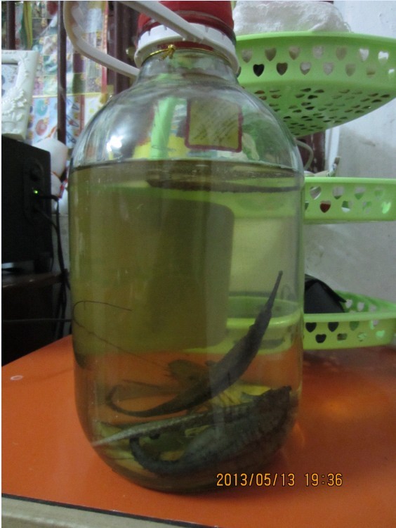 QQ图片20130605215408.jpg