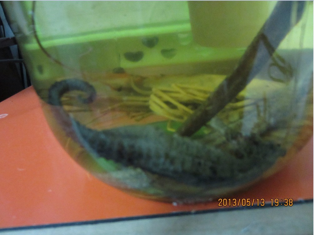 QQ图片20130605215423.jpg