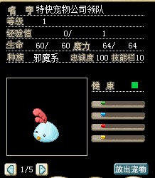 队长领队
