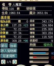 档数一般性的推荐加点