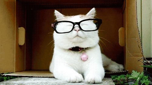 105636hzkhwhukyq7okiyq.gif